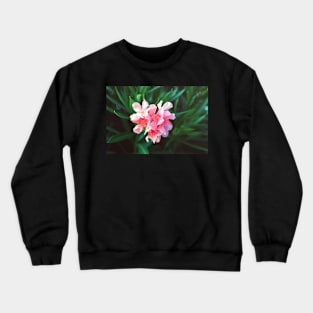 Pink Nerium oleander flower against natural green background Crewneck Sweatshirt